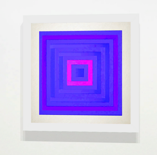 Visual System 