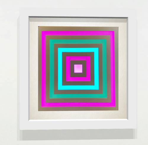 Visual System 