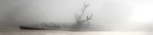 Yuval Shaul 'Solitude' Justice series